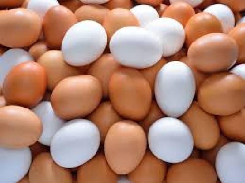 البيض الأبيض - أرشيفية