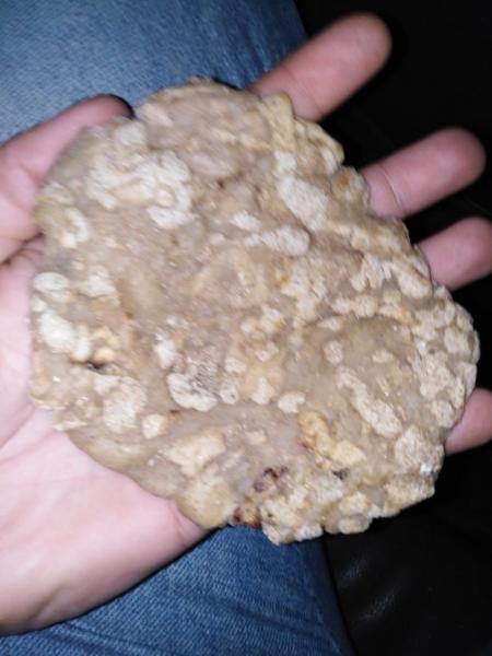 الجارديان المصرية