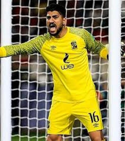 علي لطفي