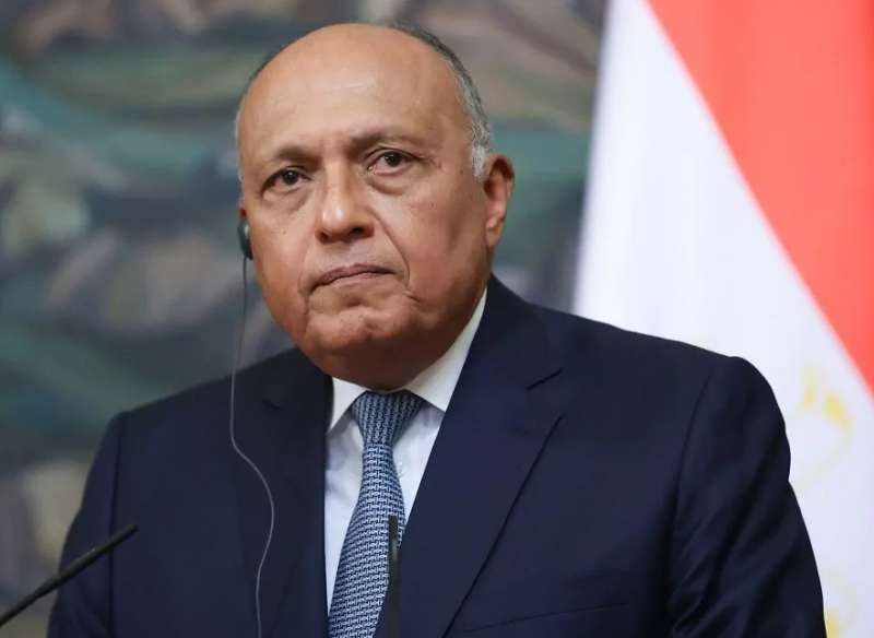 وزير الخارجية سامح شكرى 