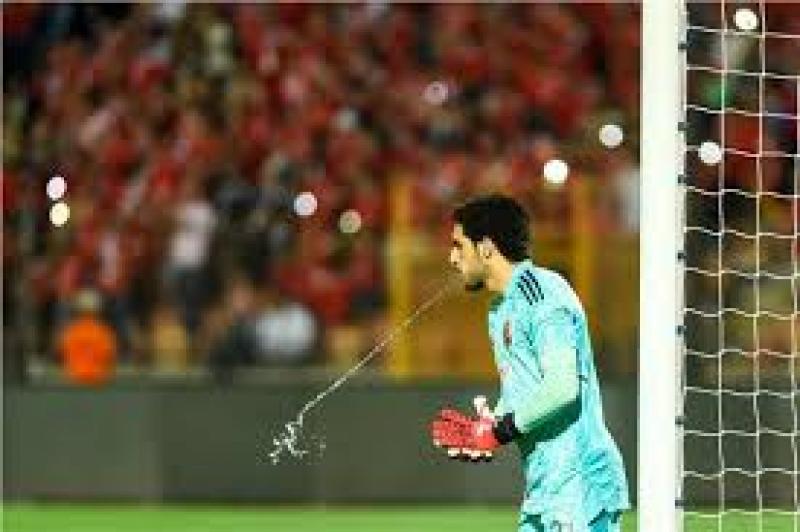 مصطفى شوبير 
