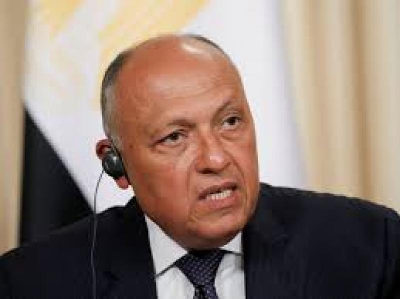 سامح شكرى