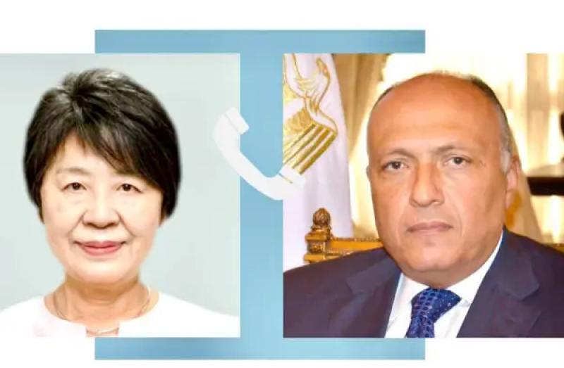 وزيرا الخارجية المصري والياباني