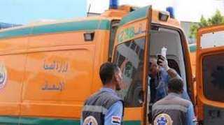 إصابة 20 شخصًا في انقلاب سيارة ربع نقل بـ صحراوي المنيا