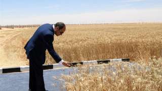 افتتاح الرئيس السيسى لموسم الحصاد   ” مستقبل مصر ”