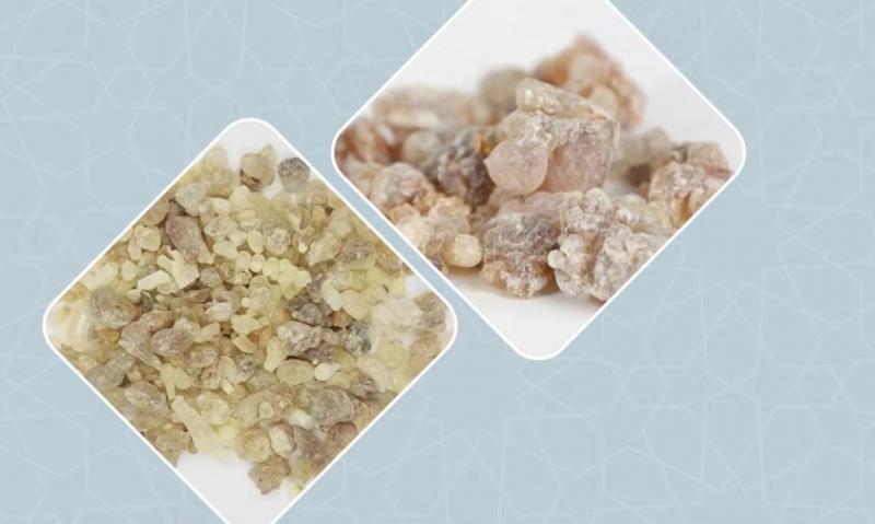 الجارديان المصرية