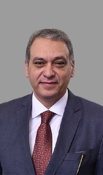 المستشار علاء الدين فؤاد