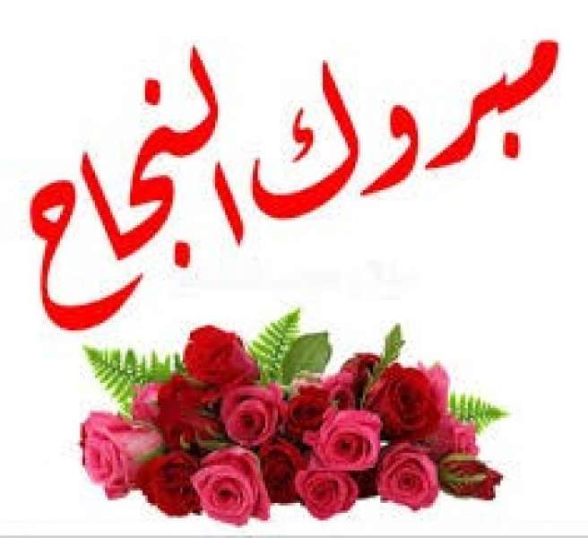 الجارديان المصرية
