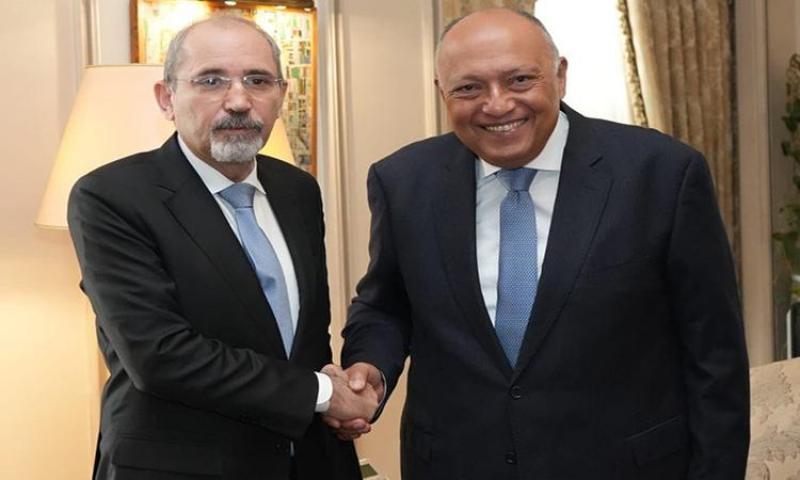 سامح شكري وايمن الصفدى