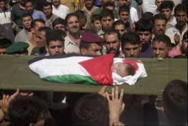 شهداء فلسطين
