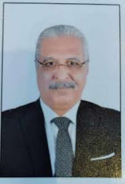 المستشار أحمد النجار