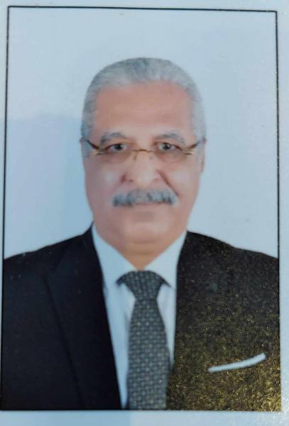 المستشار أحمد النجار