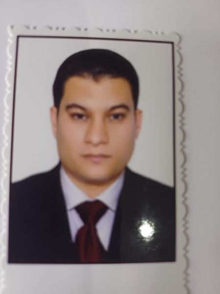الكاتب الصحفي وائل السنهورى