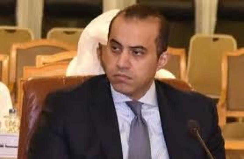 المستشار محمود فوزى