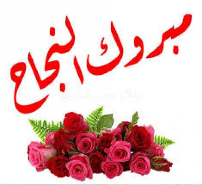 الجارديان المصرية