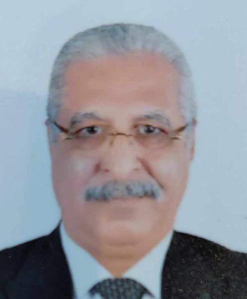 المستشار أحمد النجار