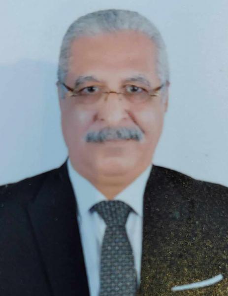 المستشار أحمد النجار