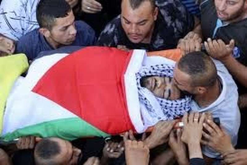 استشهاد فلسطينى