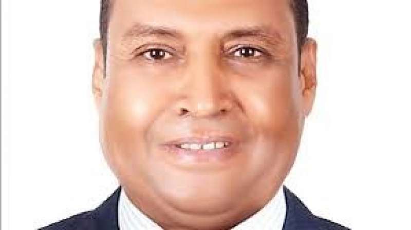 الكاتب الكبير جمال قرين