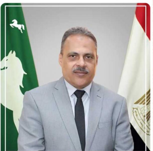 محافظ الشرقية