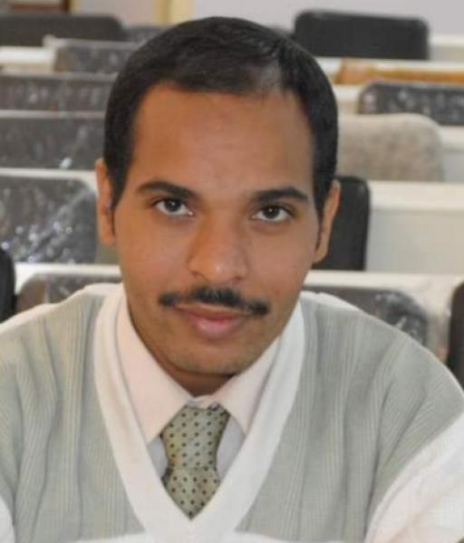 دكتور محمد السيد السكى
