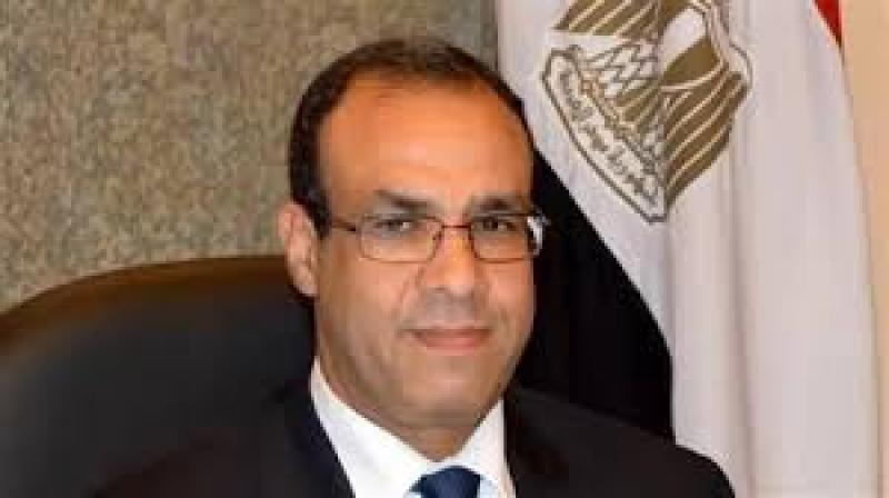 بدر عبدالعاطي وزير الخارجية