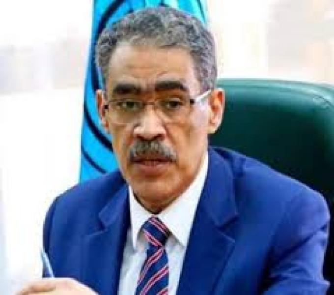 ضياء رشوان 