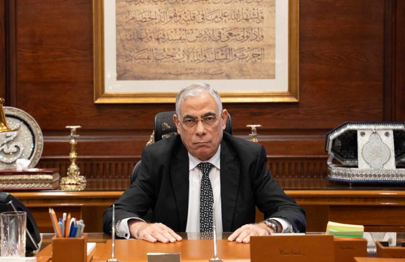 المستشار محمد شوقى
