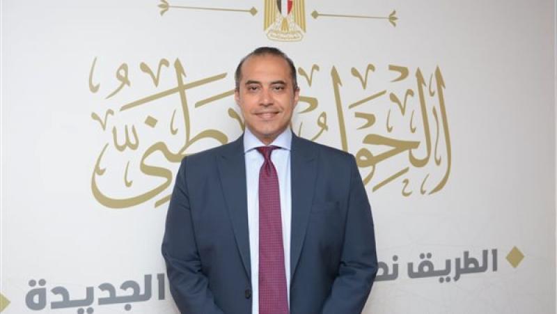المستشار محمود فوزى