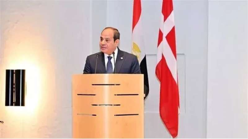 الرئيس السيسى