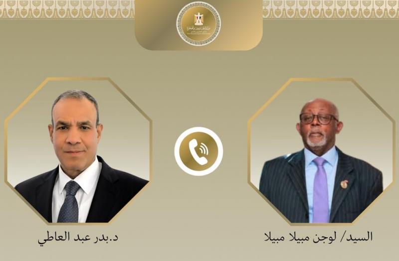 وزيرا خارجية مصر والكاميرون