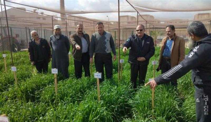 رئيس البحوث الزراعية يتفقد محطة سخا بكفر الشيخ لمتابعة البرامج البحثية المختلفة
