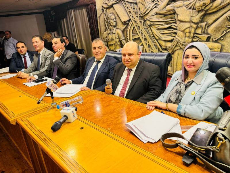 المستشارة امانى رجب