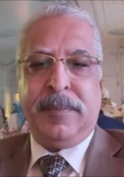 المستشار أحمد النجار