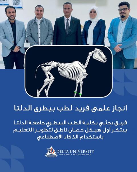 الجارديان المصرية