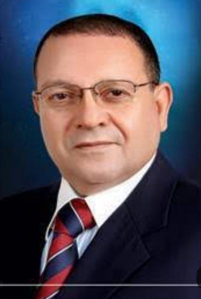 دكتور محمد ربيع ناصر