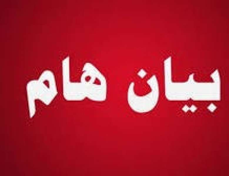 الجارديان المصرية