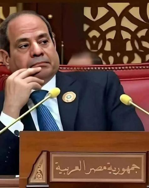 الرئيس السيسى