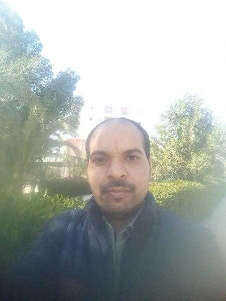 دكتور محمد السيد السكى يكتب: ترامب ودول الخليج !!