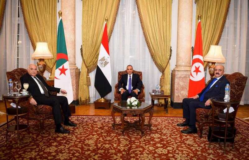 البيان الختامي لاجتماع وزراء خارجية مصر وتونس والجزائر بشأن ليبيا