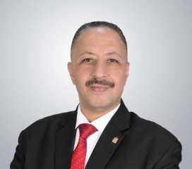 د. هاني المصري يكتب: تاريخ يُكتب بالدم والوعي ... كيف نجت مصر من سيناريو التفكك العربي