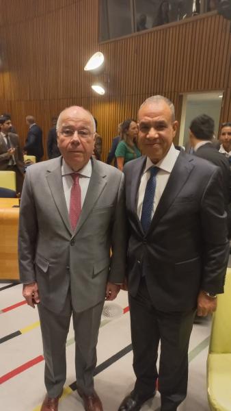 وزيرا خارجية مصر والبرازيل