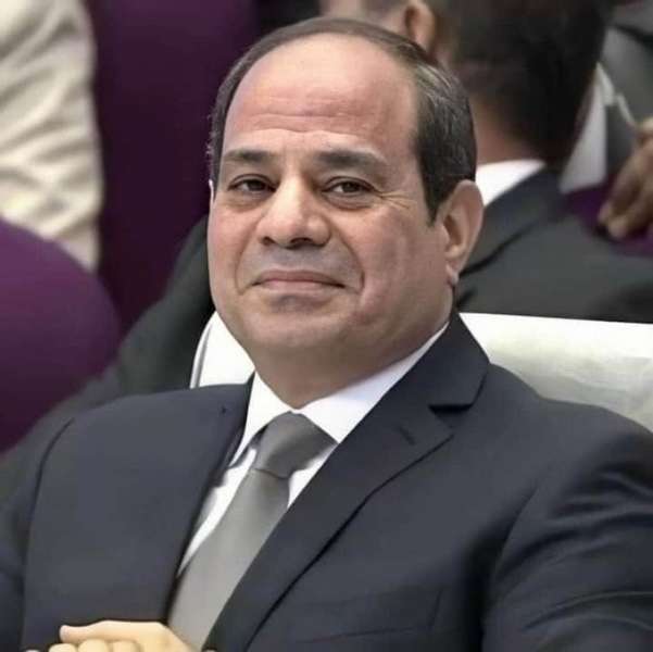 الرئيس عبد الفتاح السيسى