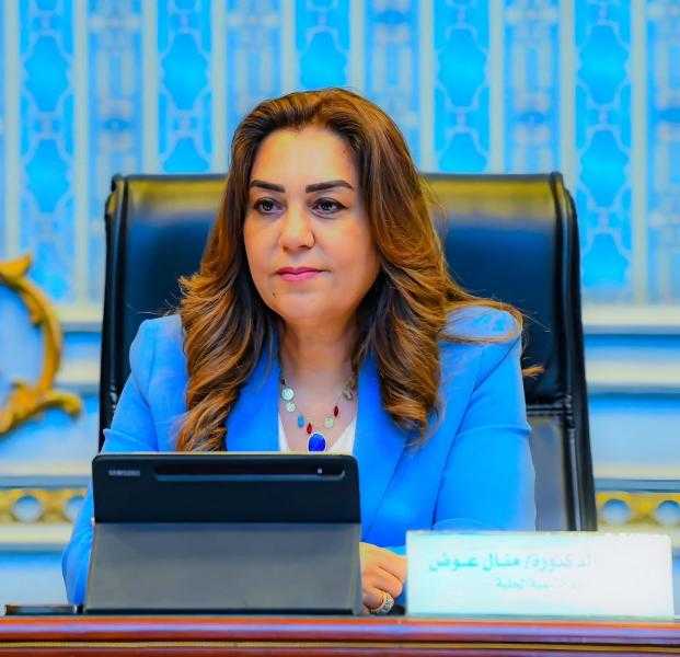 وزيرة التنمية المحلية توجه المحافظات باتخاذ الإجراءات والاستعدادات النهائية لانطلاق انتخابات مجلس الشيوخ يومي 4 و5 أغسطس الجاري
