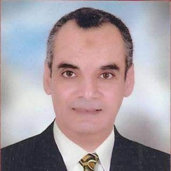 الكاتب الكبير عمرو طير البر