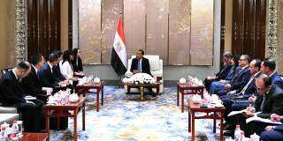 رئيس الوزراء يلتقي رئيسة شركة جيانغسو فينغهاي المحدودة لتطوير تحلية مياه البحر والطاقة الجديدة