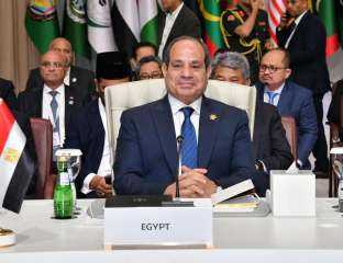 محمد الشافعى يكتب: تفاصيل البيان الختامى للمكلمة التاريخية