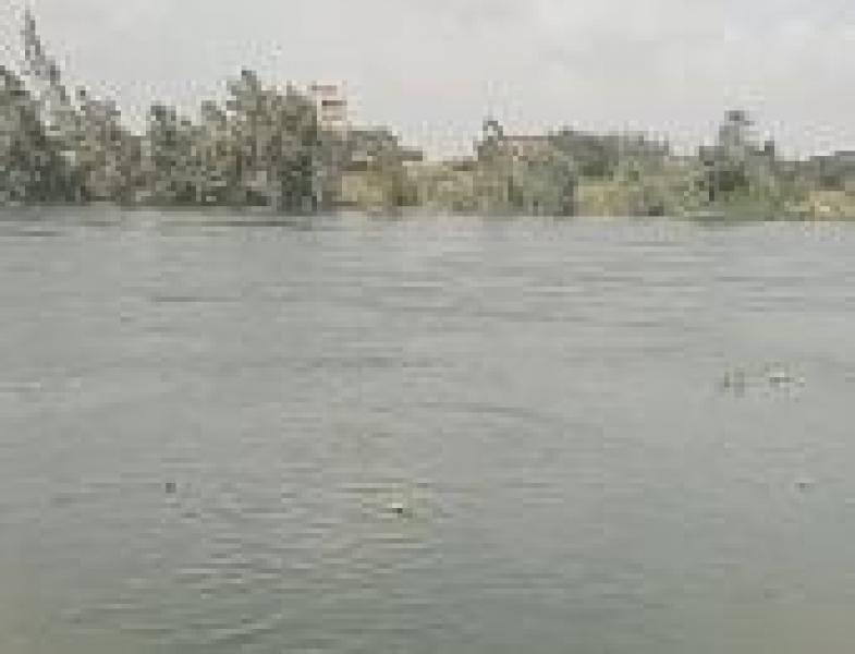 النيل