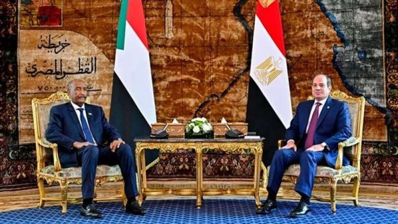 الرئيس عبد الفتاح السيسي.فيتو