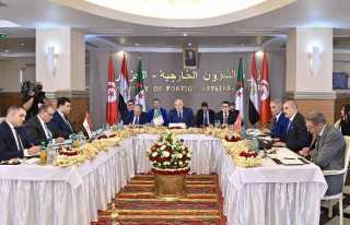 بيان مشترك للجزائر ومصر وتونس بشأن أزمة ليبيا بيان مشترك للجزائر ومصر وتونس بشأن أزمة ليبيا